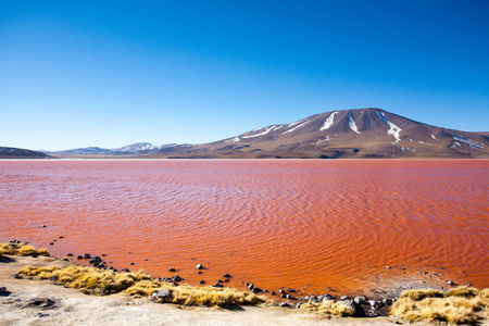 Colorada 景观, 玻利维亚。美丽的玻利维亚全景。红水泻湖