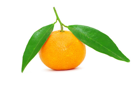 美味的新鲜橘