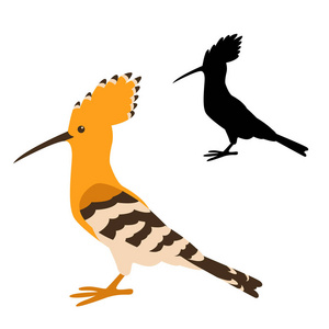 hoopoe 鸟向量例证平样式