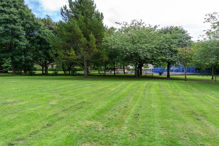 一个苏格兰公园在夏天与成熟树和儿童戏剧公园在远的距离
