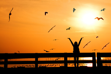 小鸟日落剪影鸟飞日落在与飞行的日落景观鸟全景视图候鸟在日落火烈鸟