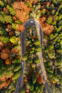 在秋天的跨法加拉桑蜿蜒的道路