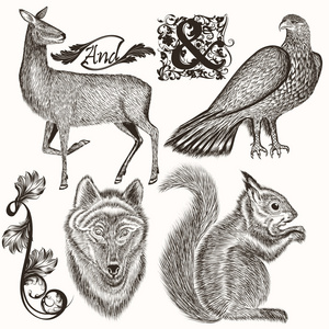 集合的手画的动物狩猎设计