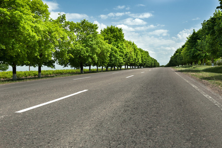 景观道路图片