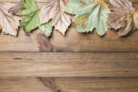 秋季概念。木板上的秋叶