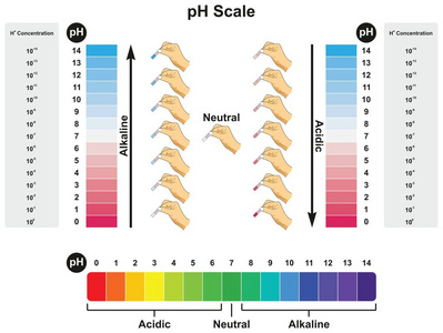 ph 值图表图显示价值和浓度的实验例结果在酸性中性或碱性的科学教育