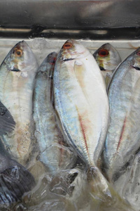 在街头美食中烹调的鲜鱼图片