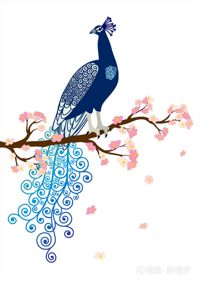 在白色背景上的粉红色的花树分支上的蓝色抽象孔雀向量插图