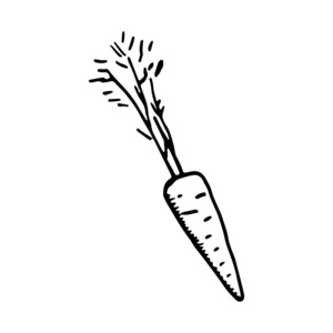 胡萝卜蔬菜图标。独立的对象