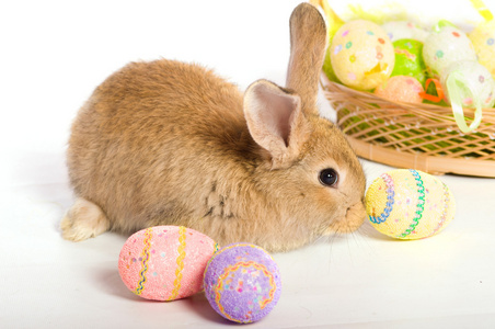 复活节兔子的篮子和鸡蛋