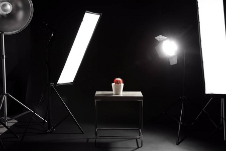 现代摄影工作室室内带桌, 仙人掌和专业照明设备