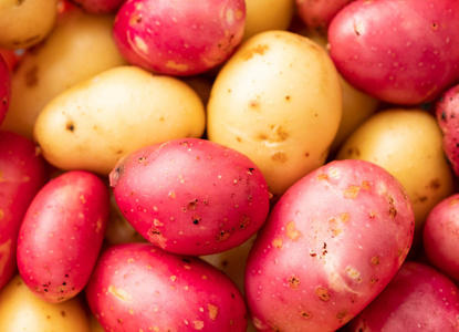 新鲜的有机小土豆在市场上销售。选择性聚焦