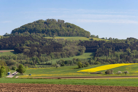 德国南部的油菜田和农业英亩的风景春天阳光明媚的一天