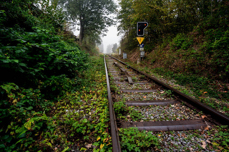 在一个朦胧的早晨沿着铁路在森林的秋天与它美丽的美丽的颜色