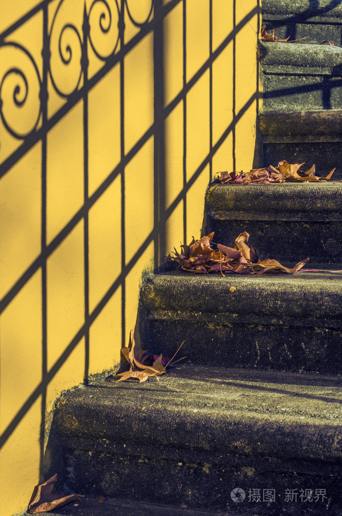 楼梯与落叶
