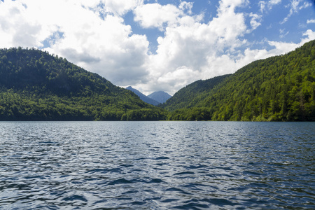 Alpsee 湖，与天鹅，巴伐利亚阿尔卑斯山，德国