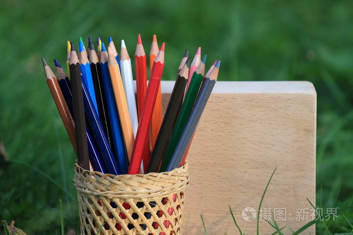 在草地上有一篮子知识的彩色铅笔