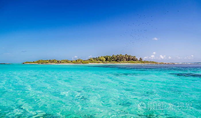 墨西哥加勒比海 contoy 岛