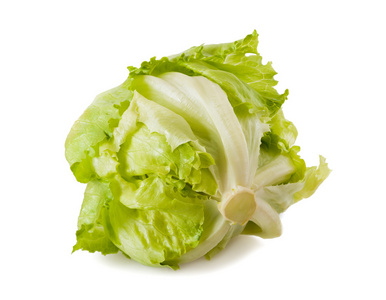 头莴苣图片