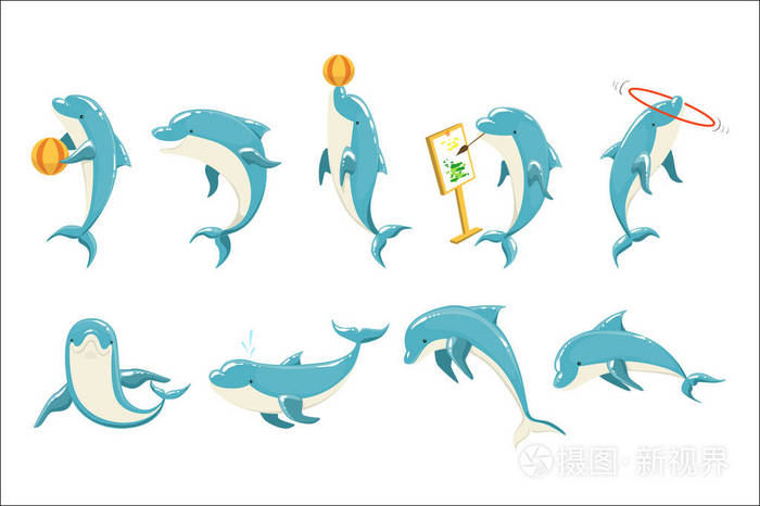宽吻海豚表演技巧集插图