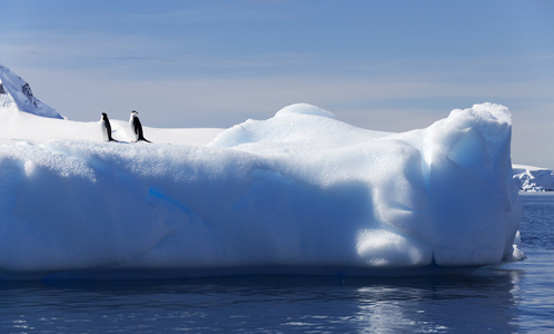 冰川和冰山在南极洲的企鹅图片