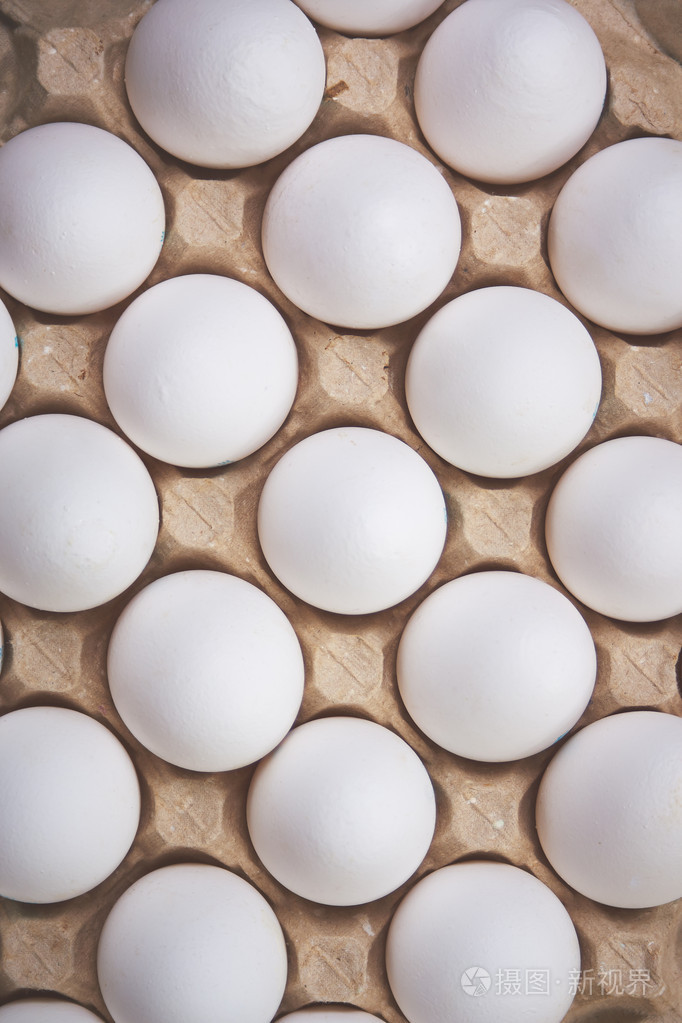 泛白羽鸡鸡蛋