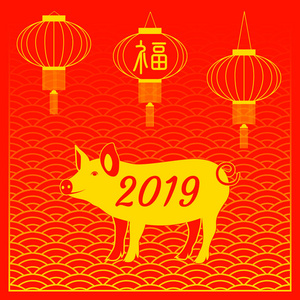 农历新年2019。年的黄猪。中国灯笼, 富字意味着运气。红色背景与装饰品