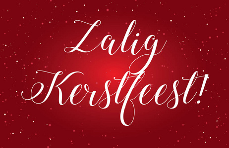 Zalig Kerstfeest 的一个例证