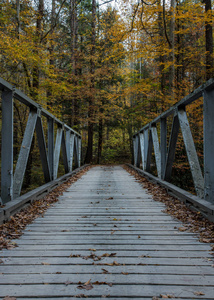 Cataloochee 山谷一车道桥