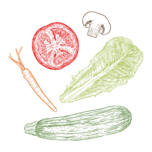 手绘草绘式蔬菜套装。胡萝卜, mishroom, 西葫芦, 西红柿和沙拉。农场新鲜食物载体