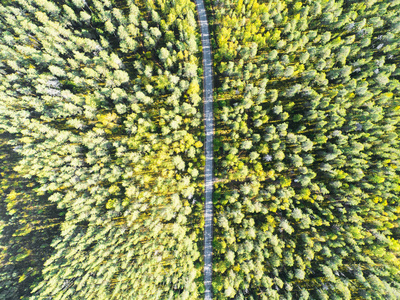 森林中一条乡村道路的鸟图与移动的汽车。景观。用无人机从上面拍摄。空中鸟的眼睛路与汽车。顶部景观林。从上面看森林景观的纹理