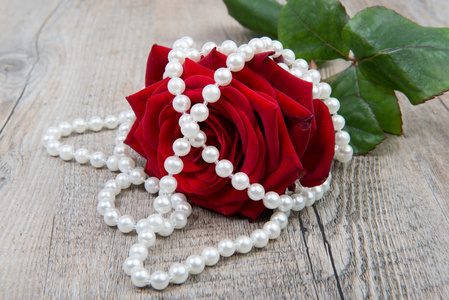 一枝玫瑰花，情人节的珍珠项链