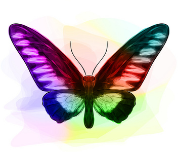 蝴蝶。Iridescen 颜色