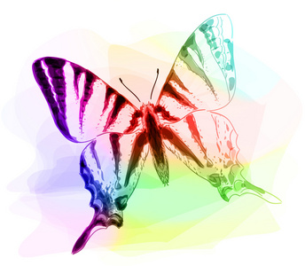 蝴蝶。Iridescen 颜色