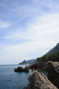 在阳光明媚的日子里, 绿树覆盖的海岸的风景如画的景色