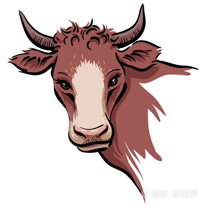 牛头插画-正版商用图片090ogk-摄图新视界