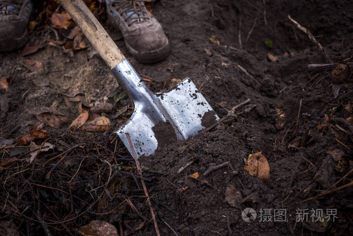 铲子在地上, 特写镜头。潜入土壤