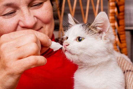 那个女人正在喂一只白色的小猫.关爱动物照片