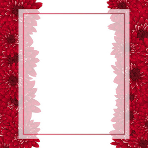 红菊花横幅卡. 矢量插图