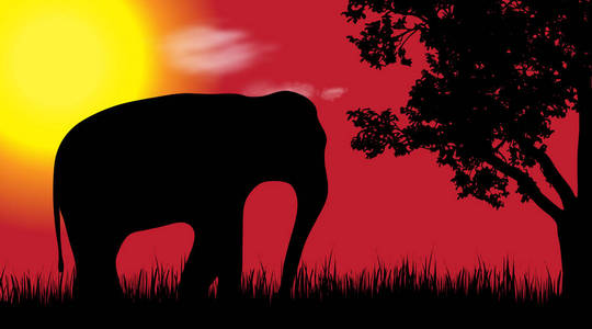 大象的向量剪影在自然在日落