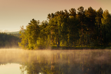 森林和山反映在湖中。在黎明时景观
