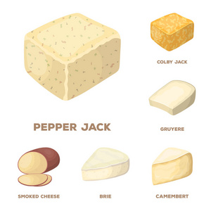 不同类型的奶酪卡通图标集设计. 牛奶产品奶酪矢量符号股票网页插图