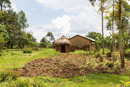 Kakamega 森林附近的废弃农场。肯尼亚非洲