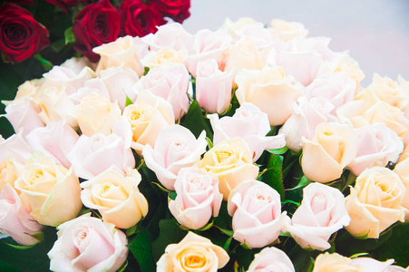 篮子五颜六色的玫瑰销售在市场上