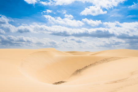 维亚纳沙丘沙漠Deserto 德维亚纳在博维斯塔海角