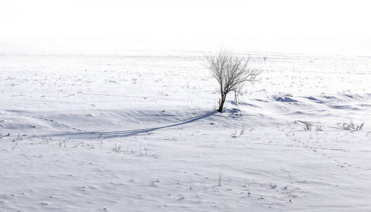 农村冰雪覆盖的冬季景观