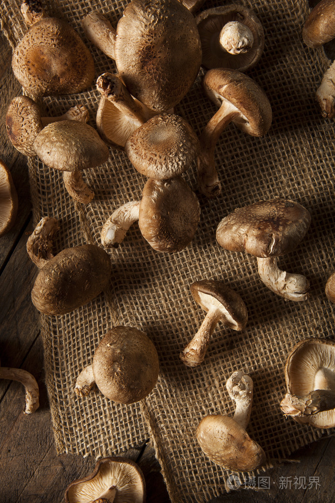 原料的有机西兰花蘑菇