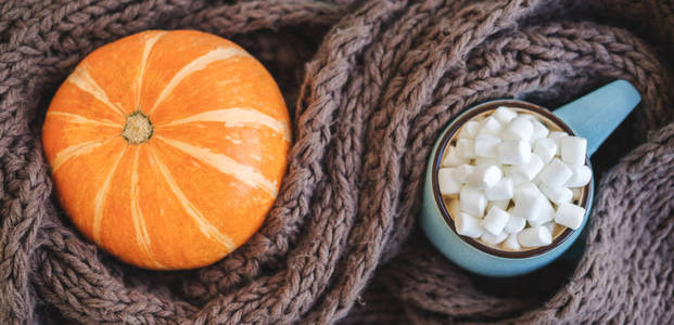 秋季背景带暖针织围巾, 蓝杯咖啡, 热巧克力, 可可, 棉花糖, 南瓜。温馨温馨的秋观