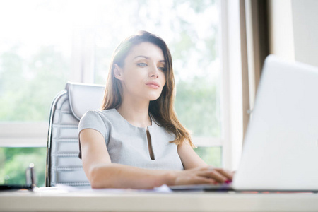 美丽的女实业家纵向工作在办公桌在办公室和使用笔记本电脑坐在阳光下的窗口