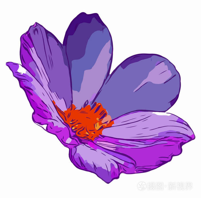 花 向量花在白色背景 花卉设计元素和自然背景插画 正版商用图片0919dh 摄图新视界